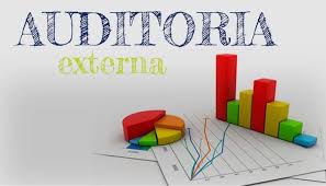 Lee más sobre el artículo Auditorías Externas a Personas Jurídicas.