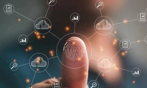 Lee más sobre el artículo Servicios de Tecnología de la Información